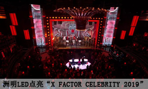 cX Factor Celebrity 2019