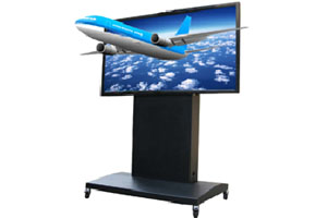 Tyloo65寸裸眼立體廣告機