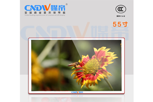 CNDW媒帝DW550HIS